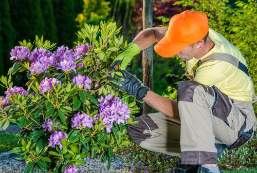 Gardener Charlton team assessing a front garden