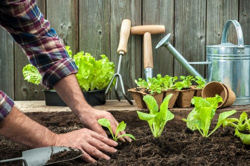 Charlton implementing sustainable practices